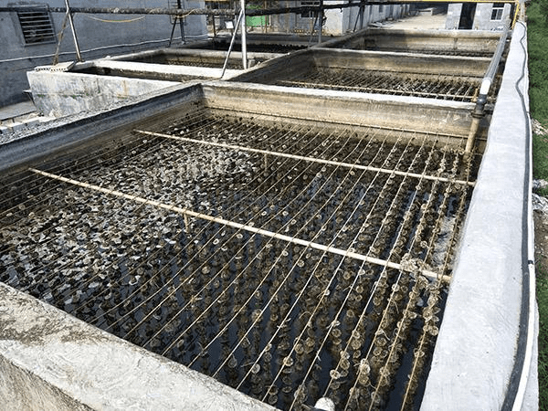 污水處理消泡劑使用場景